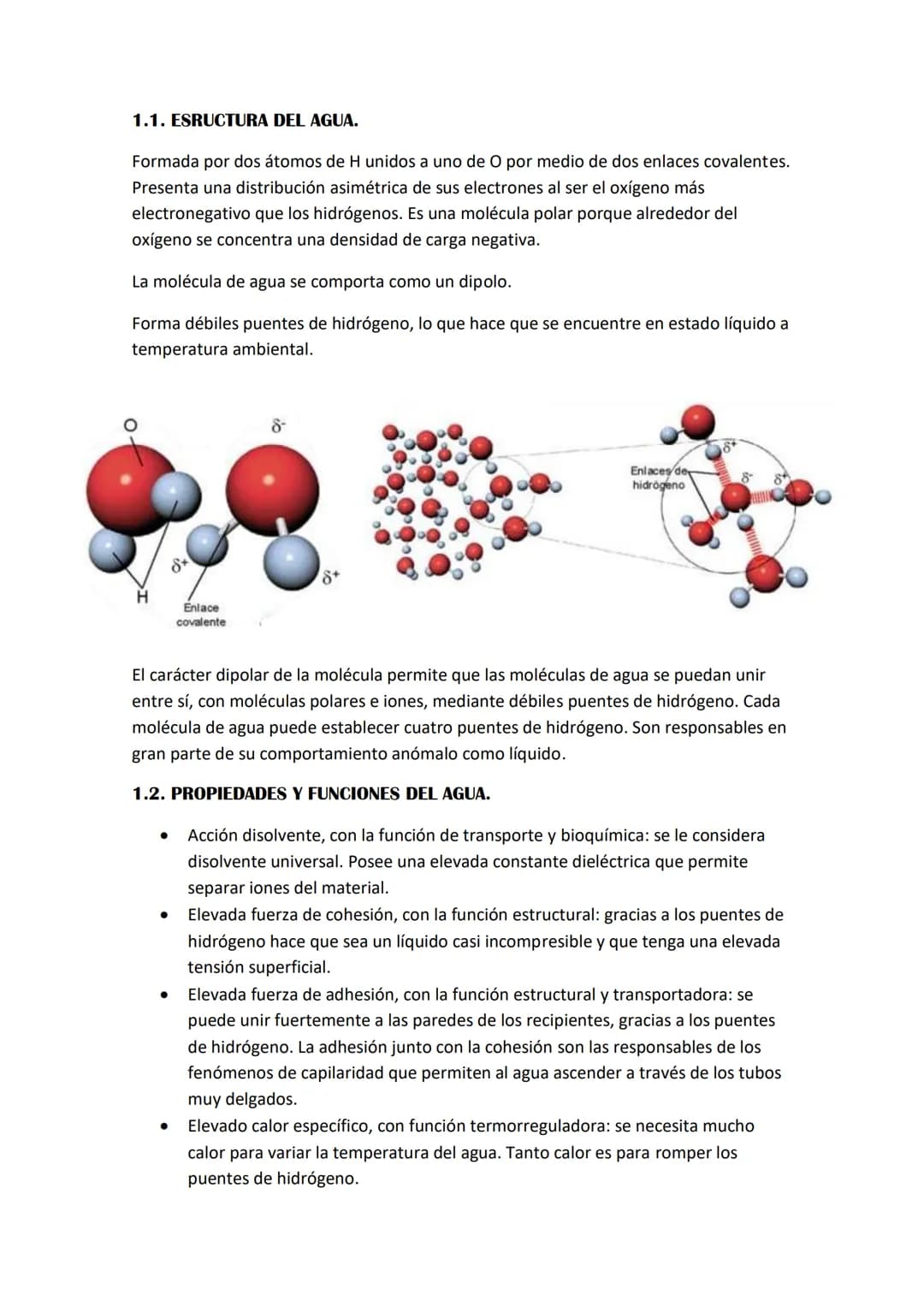 BIOELEMENTOS. BIOMOLÉCULAS INORGÁNICAS.
Todos los seres vivos están compuestos por bioelementos o elementos biogénicos.
Unos 25 elementos qu