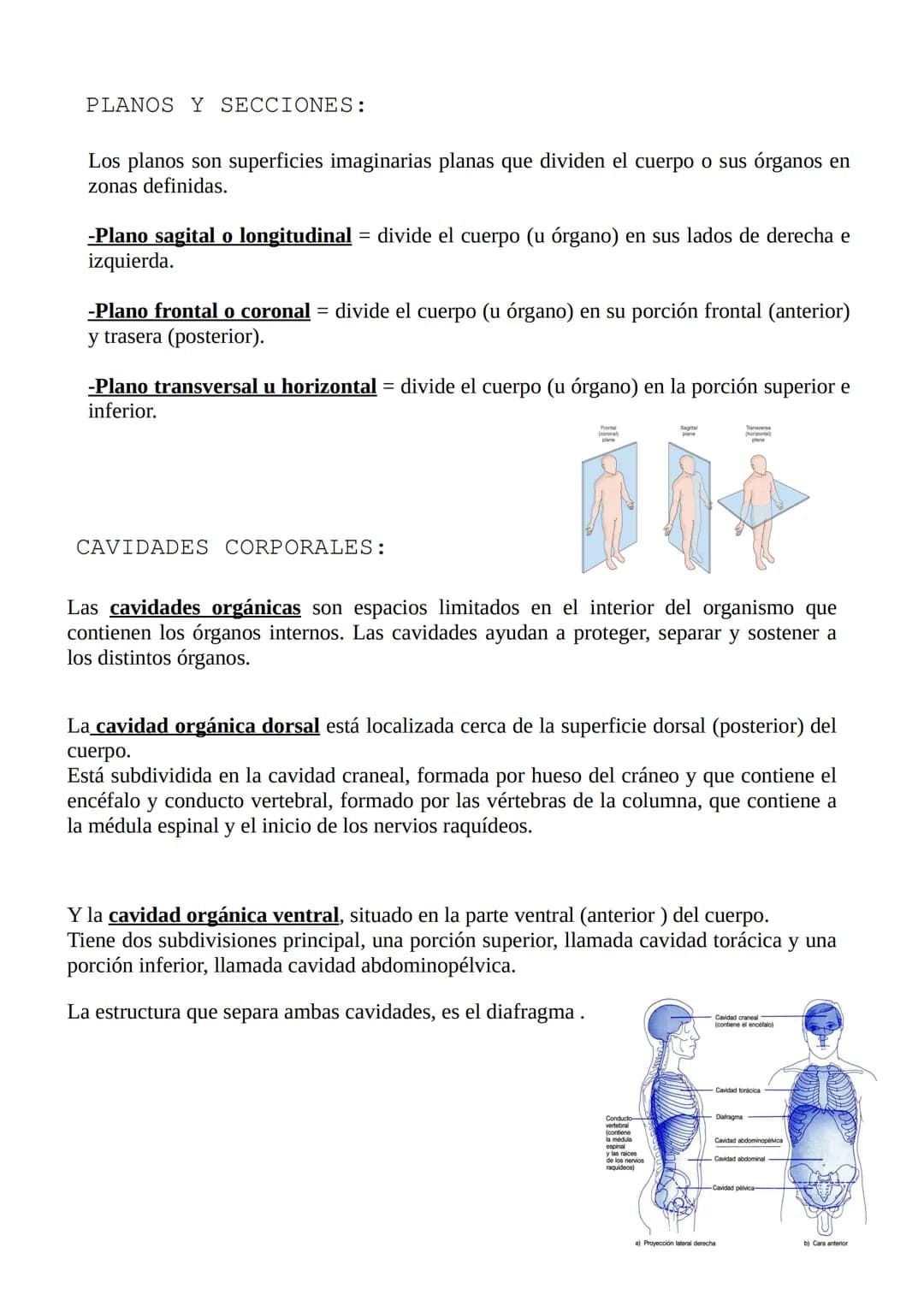 ANATOMIA
INTRODUCCION:
La anatomía estudia la estructura y la forma del cuerpo, también estudia sus partes u
órganos y las relaciones que ha