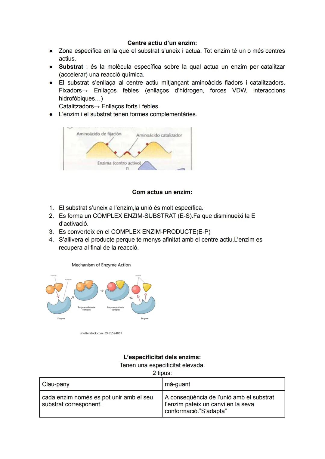 # Bio tema 1:Els enzims, vitamines i metabolisme.

Enzims:

Reactiu --------> Producte

Estat de transició:

Enllaços reactius Es debiliten
