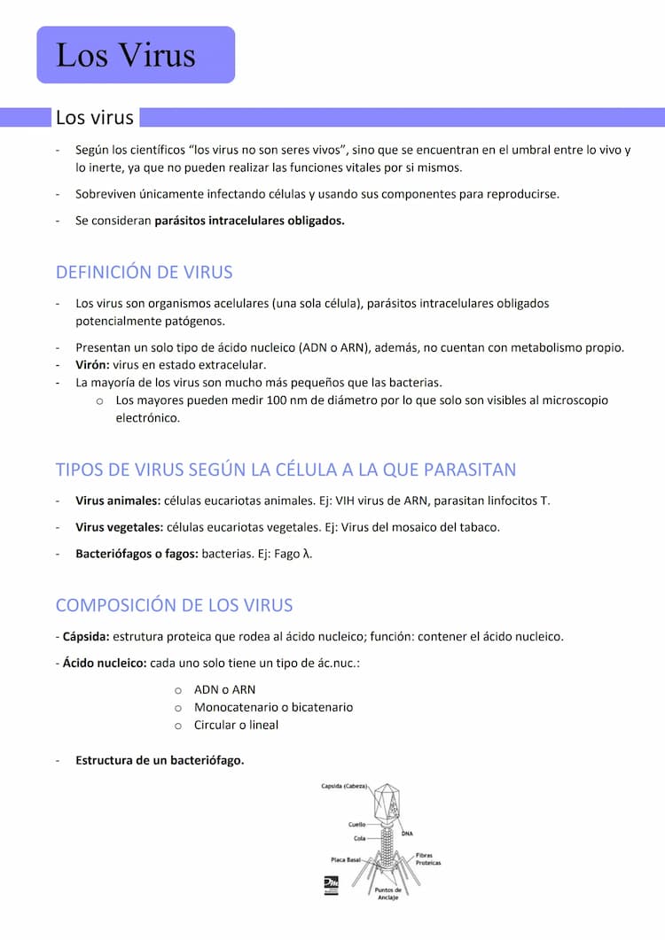 Know Los virus thumbnail
