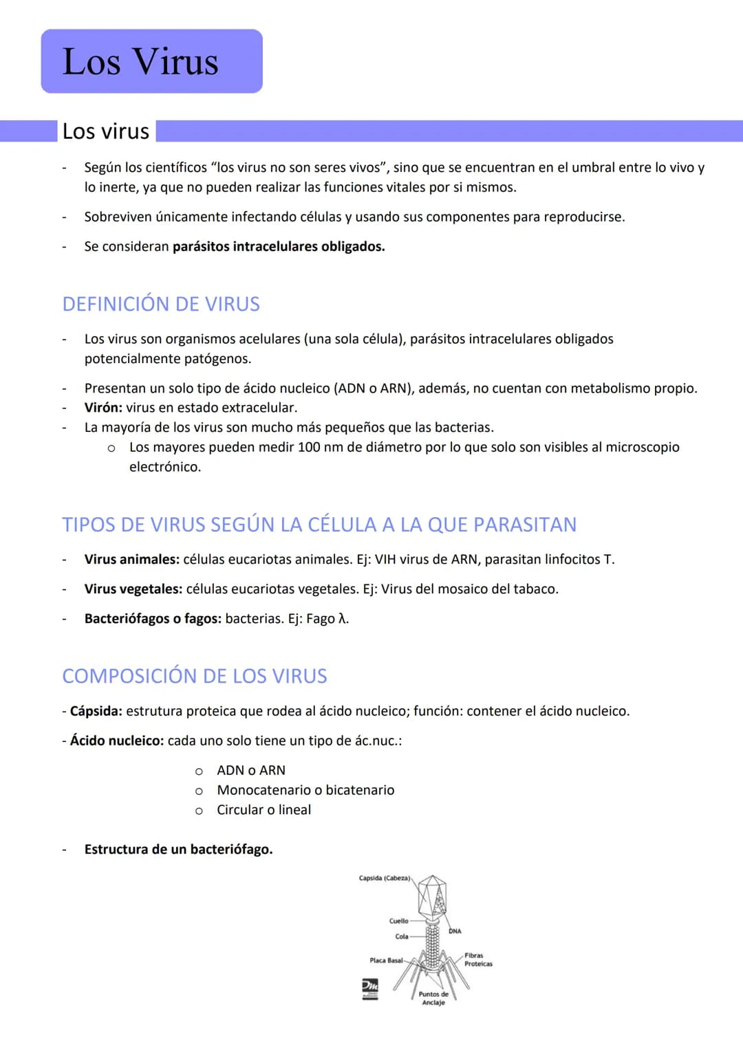 Los Virus
Los virus
Según los científicos "los virus no son seres vivos", sino que se encuentran en el umbral entre lo vivo y
lo inerte, ya 
