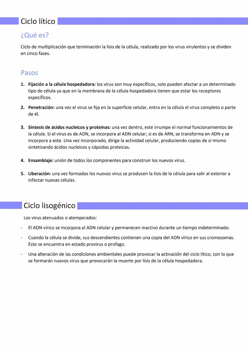 Los Virus
Los virus
Según los científicos "los virus no son seres vivos", sino que se encuentran en el umbral entre lo vivo y
lo inerte, ya 