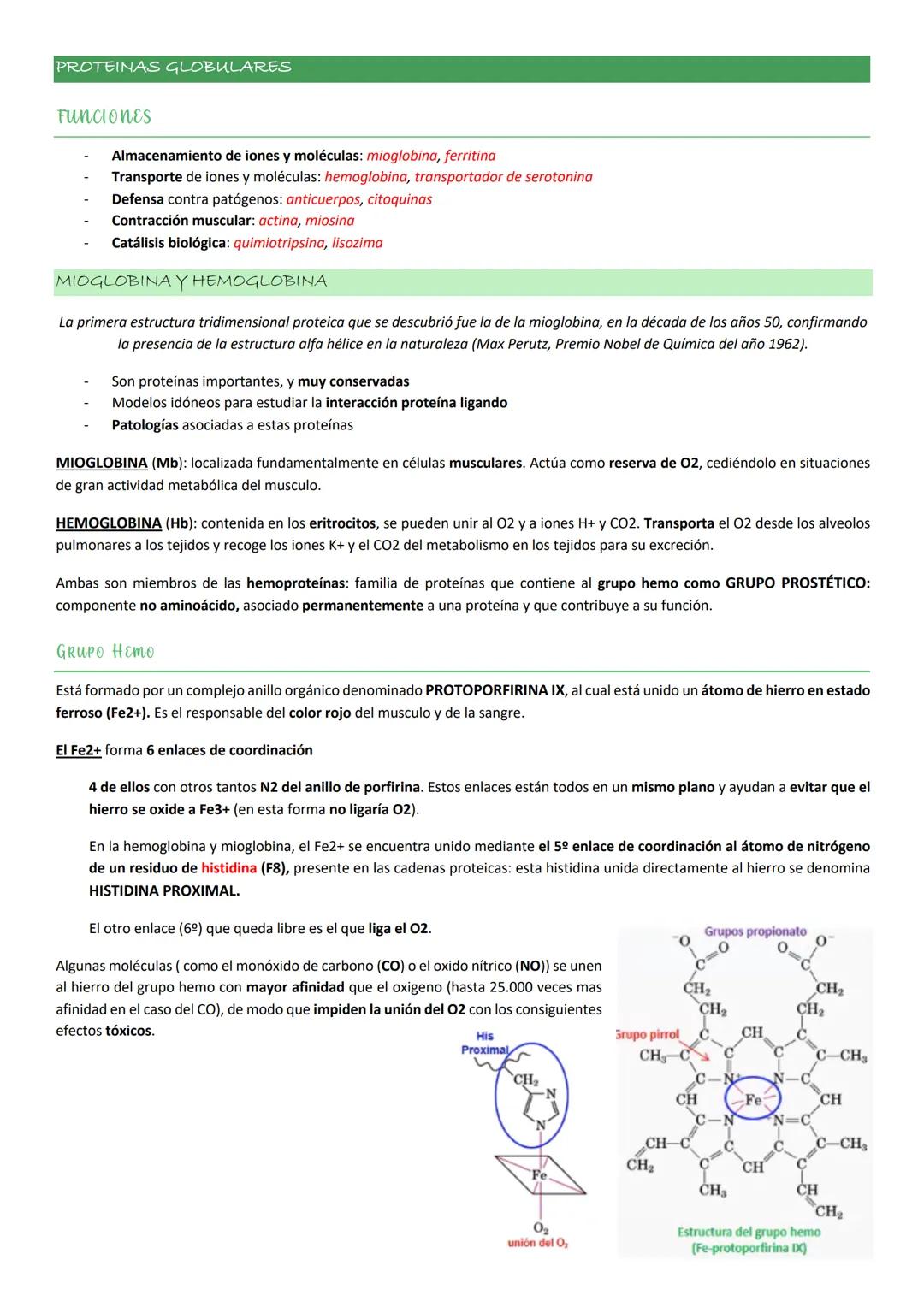 Tiene una composición de aa característica:

- 35% de los residuos de esta proteína son Gly.
- Elevada proporción de Pro
- Elevada proporció