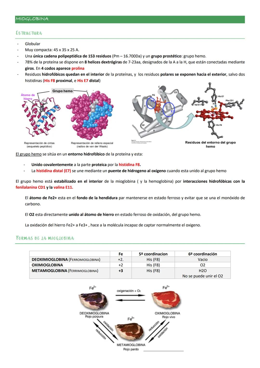 Tiene una composición de aa característica:

- 35% de los residuos de esta proteína son Gly.
- Elevada proporción de Pro
- Elevada proporció