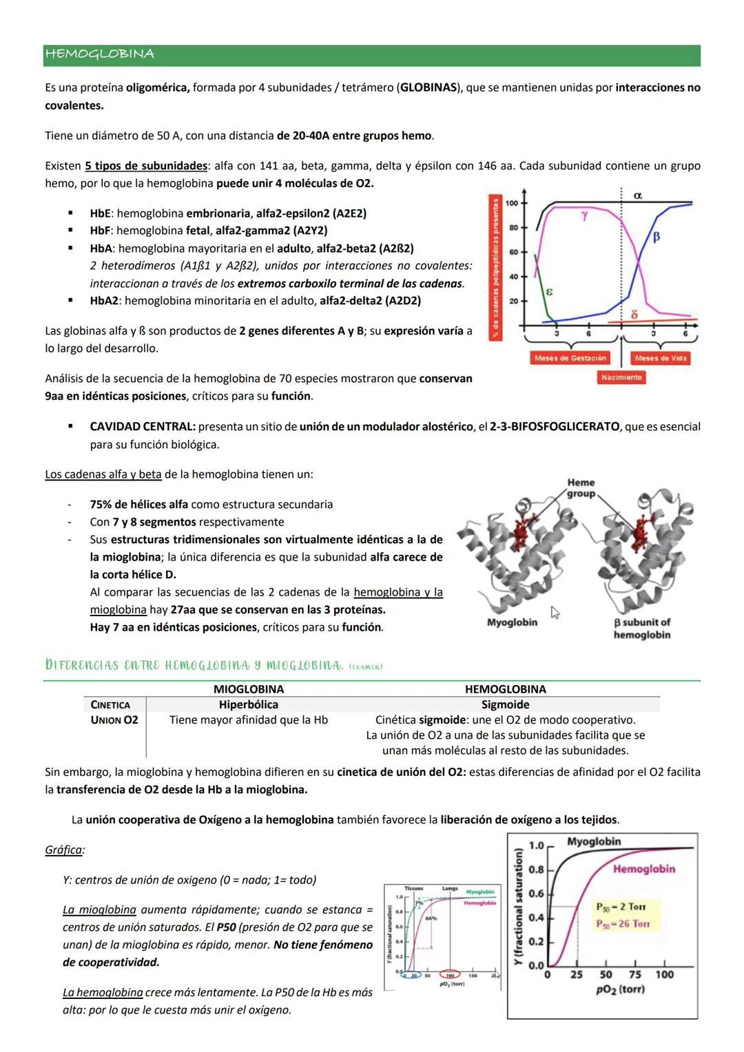 Tiene una composición de aa característica:

- 35% de los residuos de esta proteína son Gly.
- Elevada proporción de Pro
- Elevada proporció