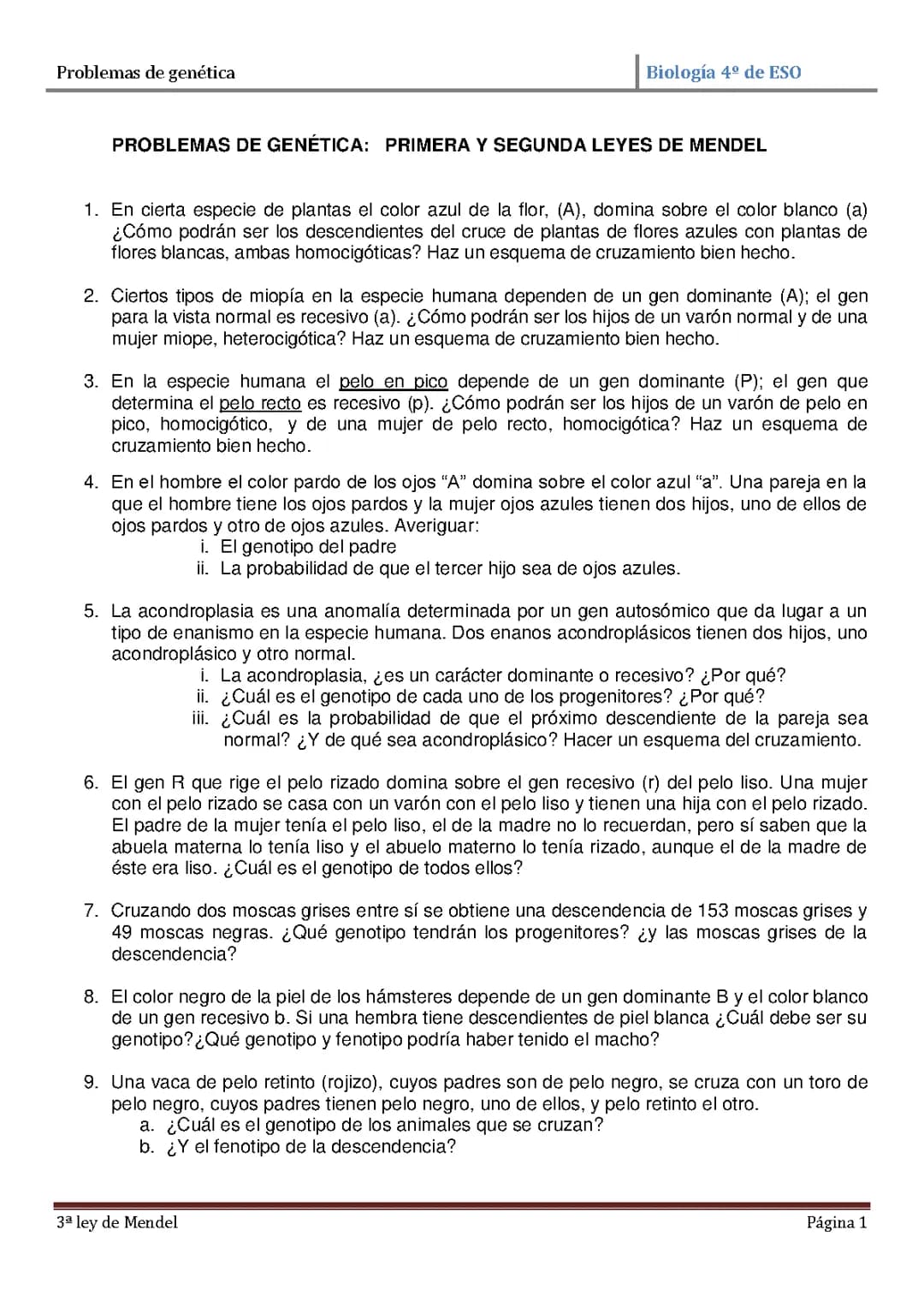 Ejercicios de genética 4to eso