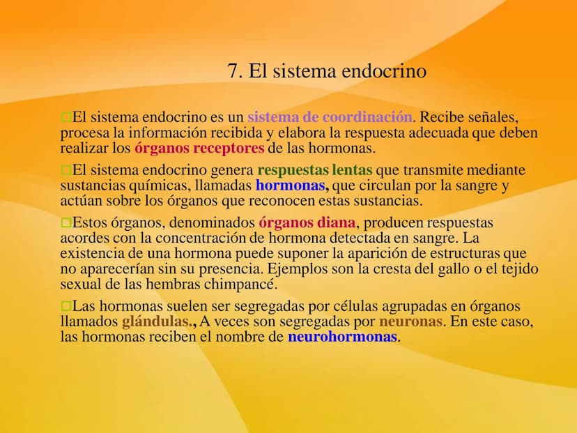 TEMA 9 (II):
SISTEMA
ENDOCRINO
Las células neurosecretoras
ubicadas en el hipotalamo
secretan hormonas libera-
doras e inhibitorias
Absorció