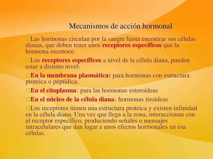 TEMA 9 (II):
SISTEMA
ENDOCRINO
Las células neurosecretoras
ubicadas en el hipotalamo
secretan hormonas libera-
doras e inhibitorias
Absorció