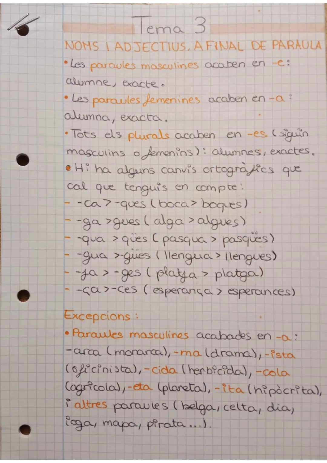Aprèn Pronoms Febles, Adjectius i Verbs en Català!