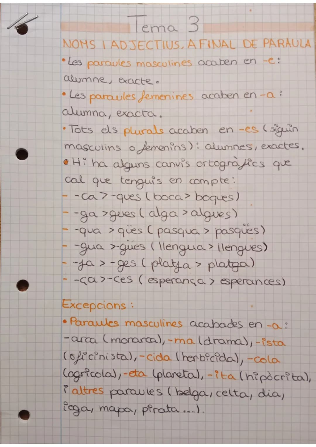 
<p>Els pronoms febles són part de la gramàtica de la llengua catalana i s'utilitzen per substituir o referir-se a altres elements de la fra