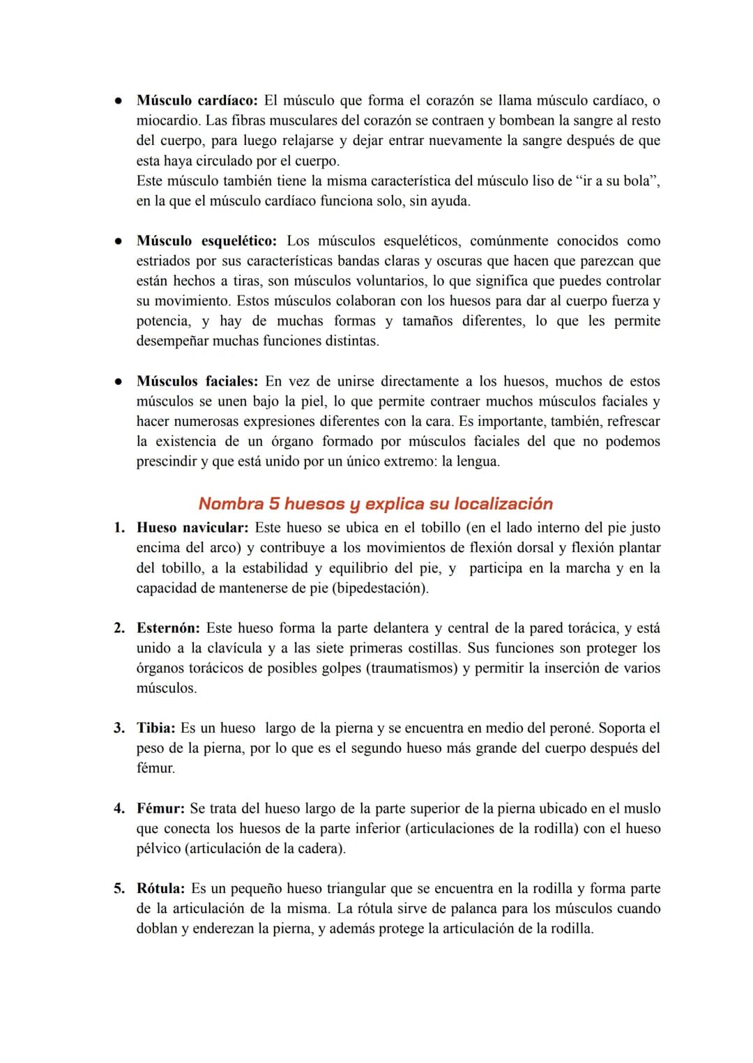 ¿Quién produce el
movimiento? ÍNDICE
1. ¿Cuál es la función del aparato locomotor?
2.
3
Componentes básicos. El esqueleto está formado por h