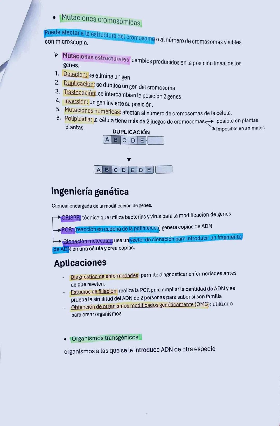 Biología
Los ácidos nucleicos
10-01-24
Ácidos
Formado por cadenas lineales de nucleótidos. Hay dos tipos de ácidos:
1. Ácidos desoxirribonuc