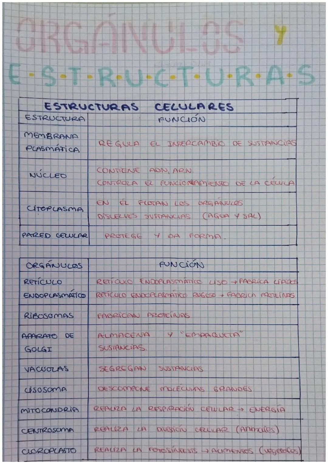 # ORGANULOS Y

E-S-T-R-U·C·T·U·R·A·S

ESTRUCTURAS CELULARES

| ESTRUCTURA          | FUNCIÓN                                   |
| ---------