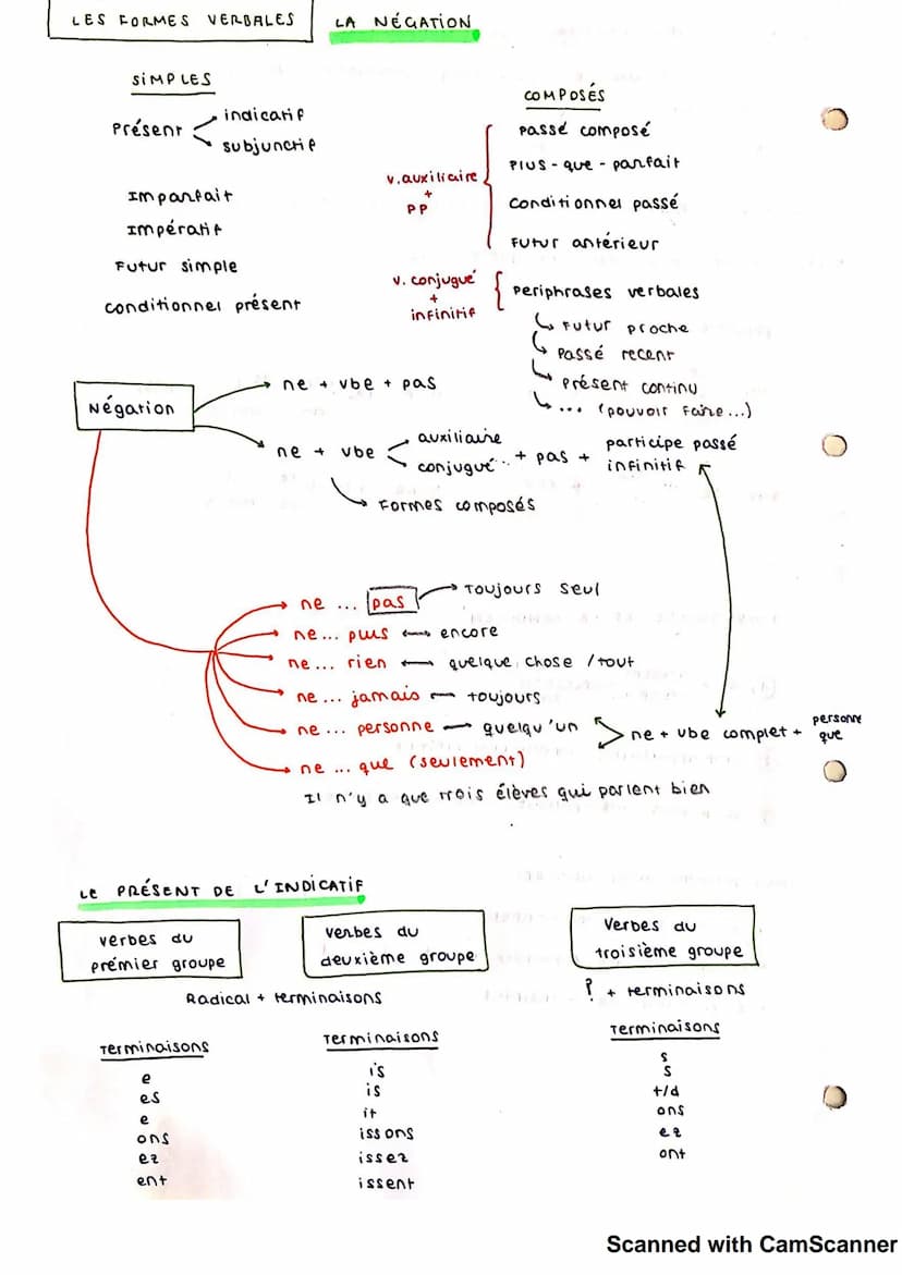 La grammaire Française
ET CONTRACTES
LES ARTICLES DEFINIS ET UNDEFINIS
IIS
LE
LES
+
LA
LES ARTICLES PARTITIFS
avec
O
s'utilissent quand il n