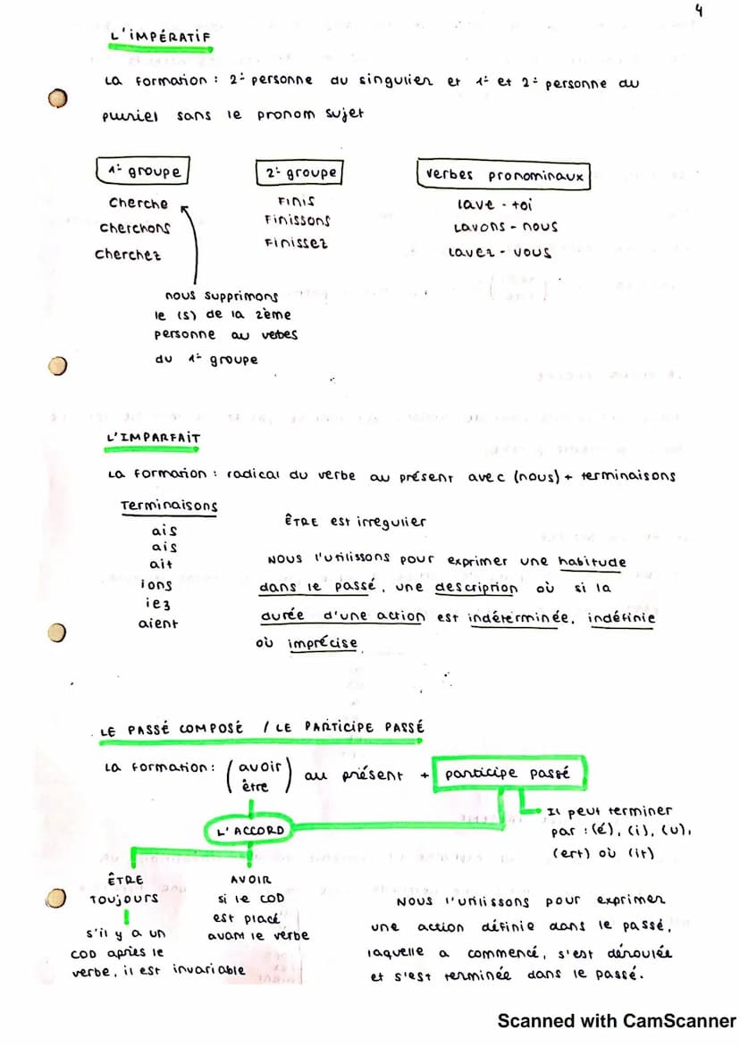 La grammaire Française
ET CONTRACTES
LES ARTICLES DEFINIS ET UNDEFINIS
IIS
LE
LES
+
LA
LES ARTICLES PARTITIFS
avec
O
s'utilissent quand il n