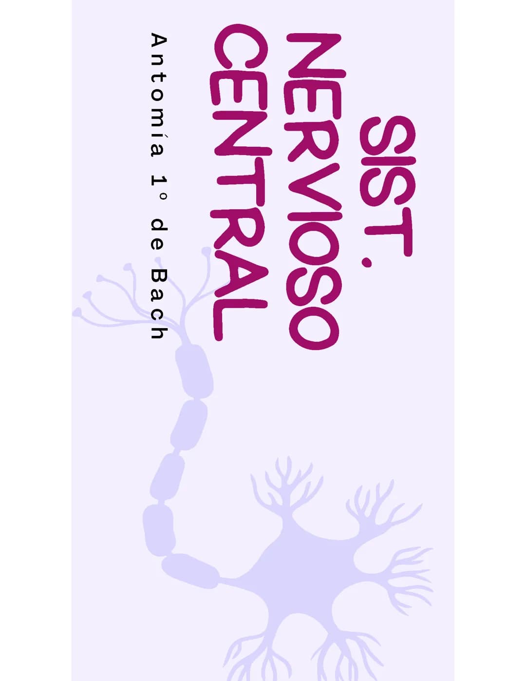 el sistema nervioso