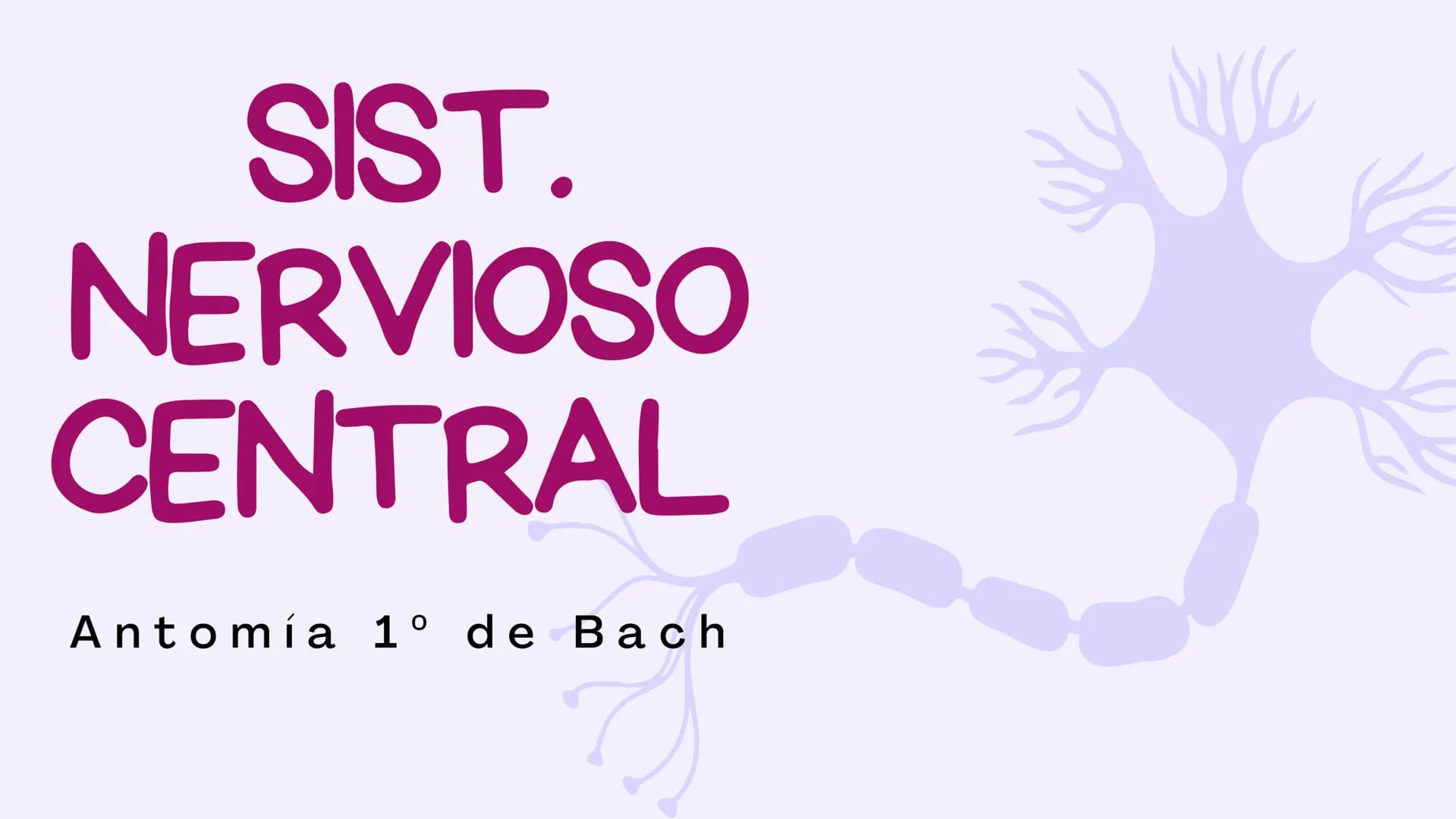 SIST.
NERVIOSO
CENTRAL
Antomía 1º de Bach ÍNDICE
1. Sistema nervioso central
2. Encéfalo
3. Tronco del encéfalo
4. Cerebelo
5. Cerebro ¿Qué 