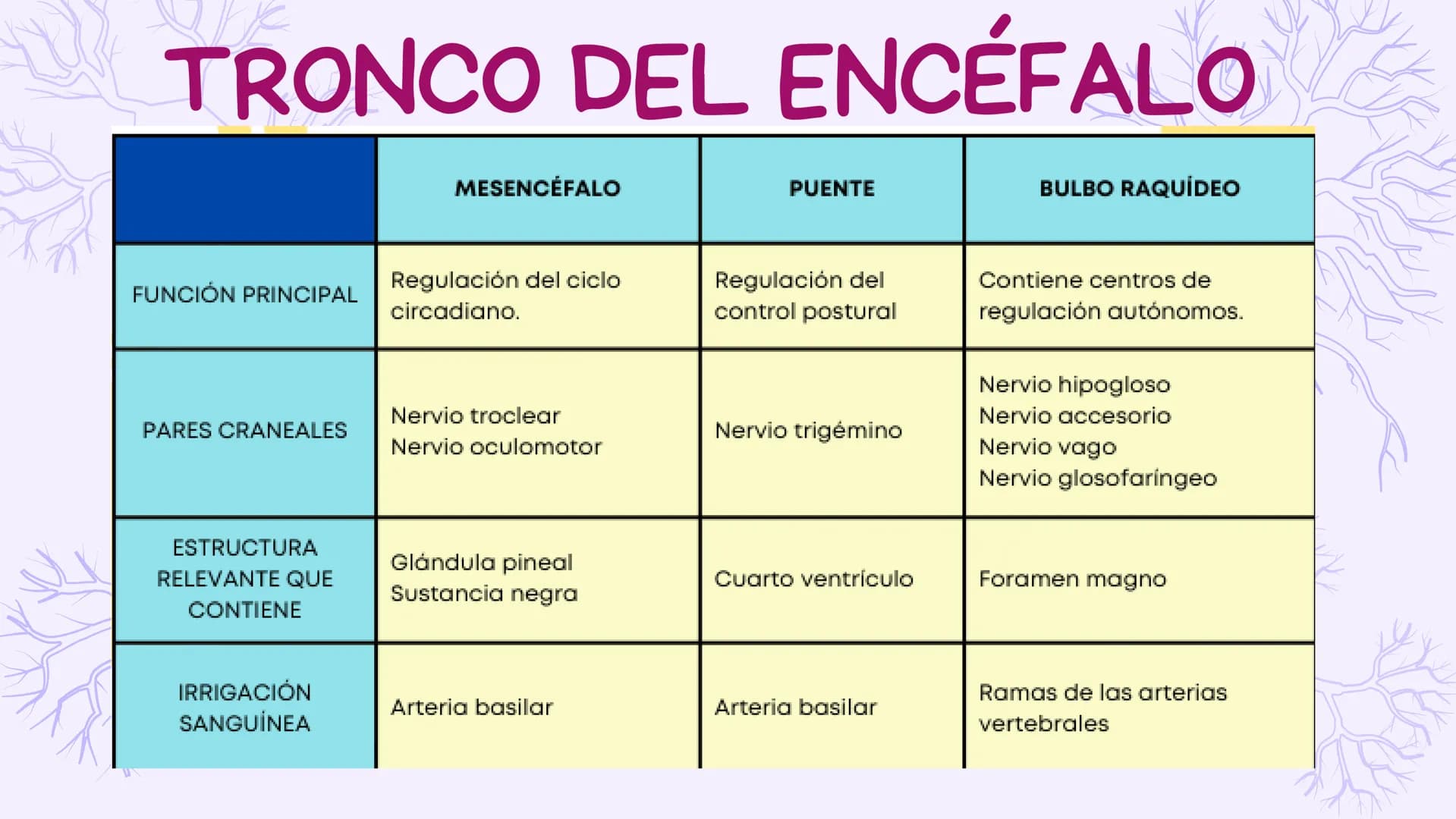 SIST.
NERVIOSO
CENTRAL
Antomía 1º de Bach ÍNDICE
1. Sistema nervioso central
2. Encéfalo
3. Tronco del encéfalo
4. Cerebelo
5. Cerebro ¿Qué 