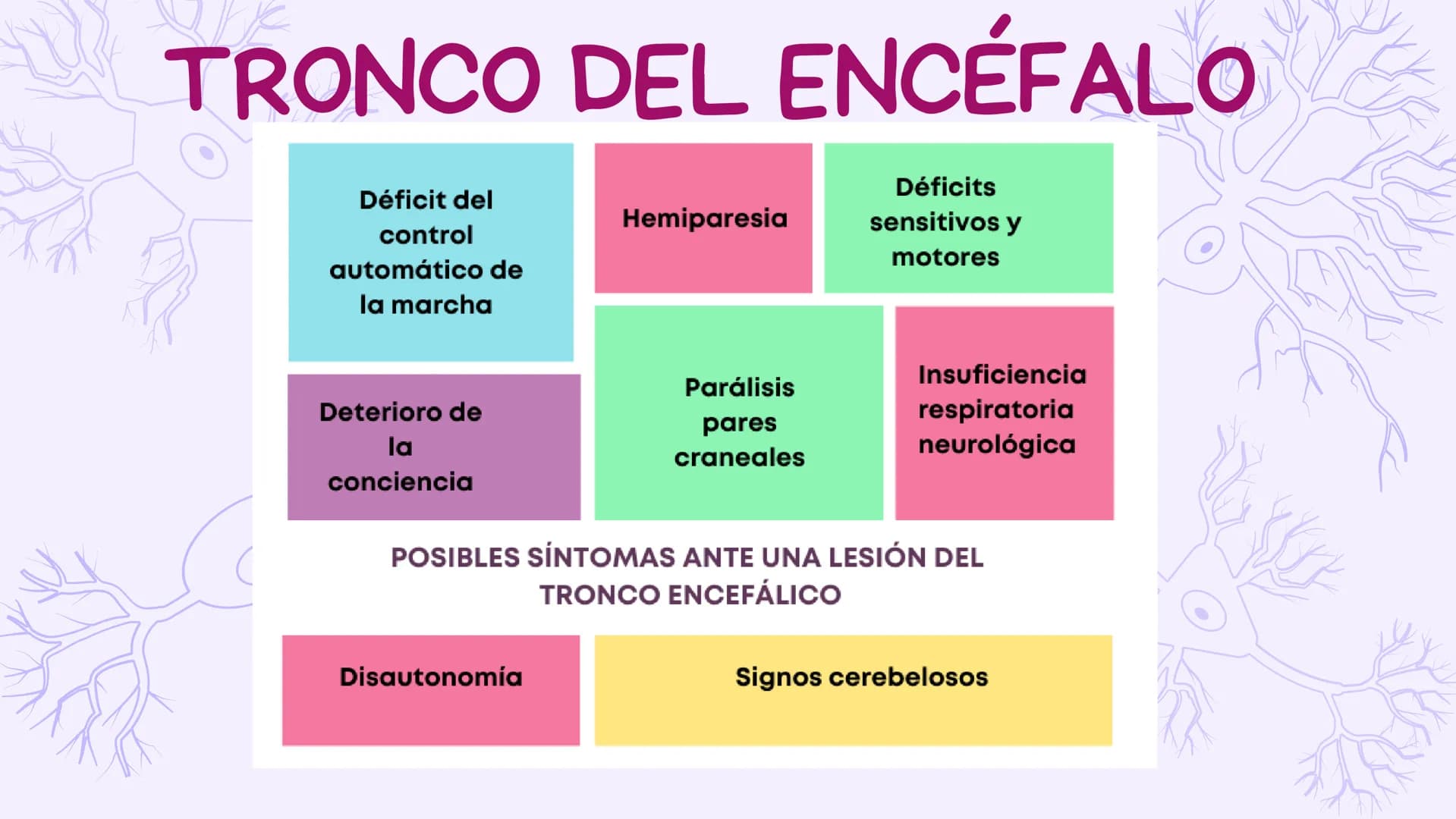 SIST.
NERVIOSO
CENTRAL
Antomía 1º de Bach ÍNDICE
1. Sistema nervioso central
2. Encéfalo
3. Tronco del encéfalo
4. Cerebelo
5. Cerebro ¿Qué 