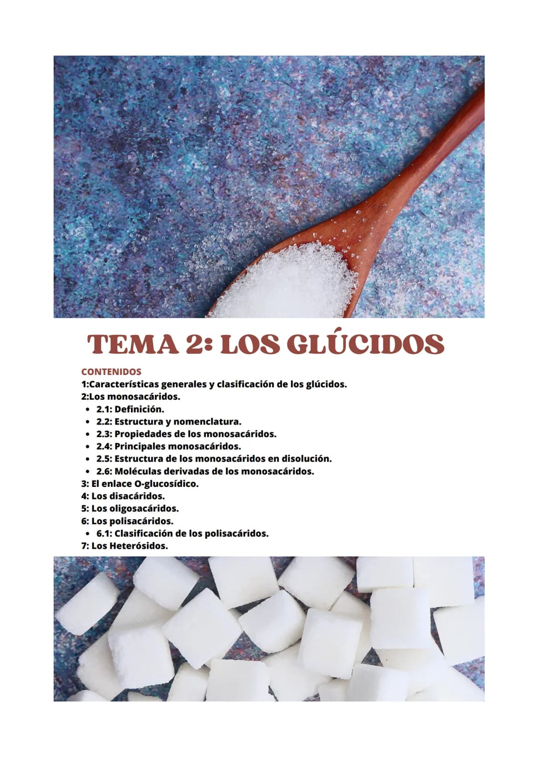 TEMA 2: LOS GLÚCIDOS
CONTENIDOS
1:Características generales y clasificación de los glúcidos.
2:Los monosacáridos.
• 2.1: Definición.
• 2.2: 