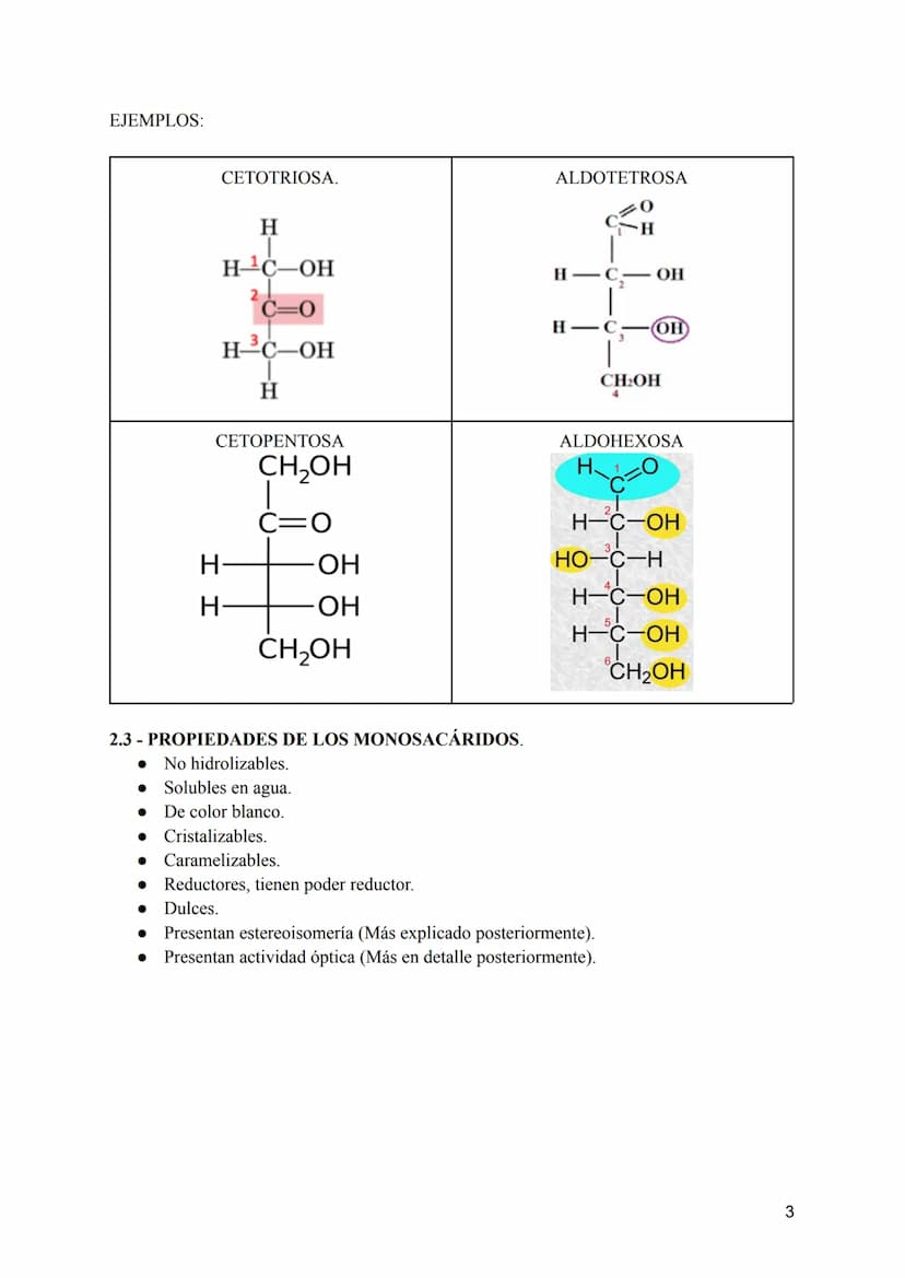 TEMA 2: LOS GLÚCIDOS
CONTENIDOS
1:Características generales y clasificación de los glúcidos.
2:Los monosacáridos.
• 2.1: Definición.
• 2.2: 
