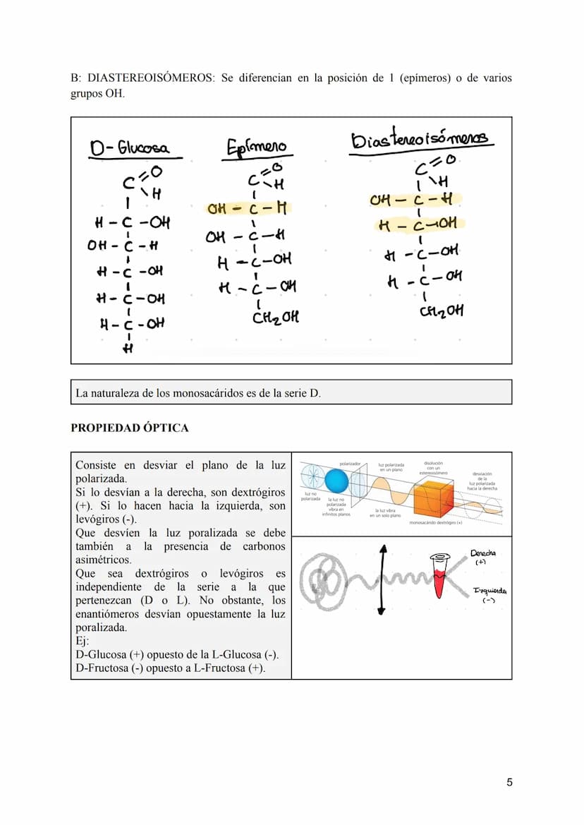 TEMA 2: LOS GLÚCIDOS
CONTENIDOS
1:Características generales y clasificación de los glúcidos.
2:Los monosacáridos.
• 2.1: Definición.
• 2.2: 