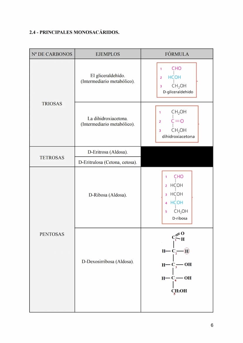 TEMA 2: LOS GLÚCIDOS
CONTENIDOS
1:Características generales y clasificación de los glúcidos.
2:Los monosacáridos.
• 2.1: Definición.
• 2.2: 