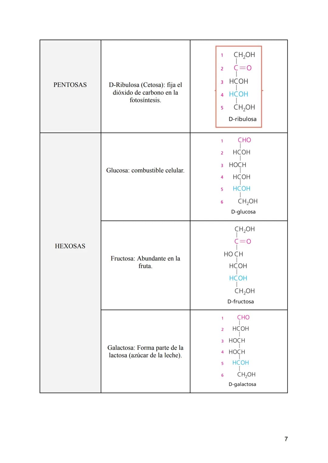 TEMA 2: LOS GLÚCIDOS
CONTENIDOS
1:Características generales y clasificación de los glúcidos.
2:Los monosacáridos.
• 2.1: Definición.
• 2.2: 