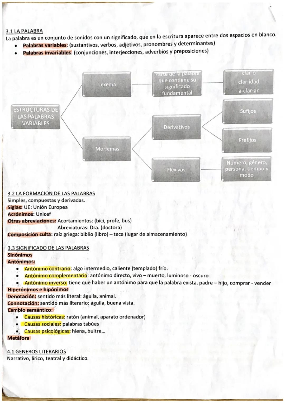 2.1 EL TEXTO
El texto es la unidad máxima de comunicación. Está compuesto de uno o más enunciados relacionados entre sí y
tiene un sentido c
