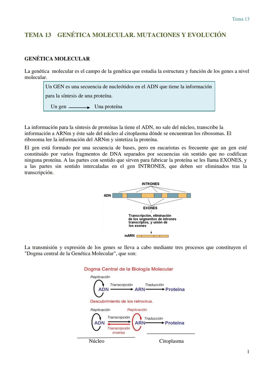 TEMA 13 GENÉTICA MOLECULAR. MUTACIONES Y EVOLUCIÓN
GENÉTICA MOLECULAR
La genética molecular es el campo de la genética que estudia la estruc