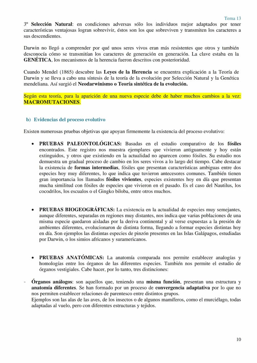 TEMA 13 GENÉTICA MOLECULAR. MUTACIONES Y EVOLUCIÓN
GENÉTICA MOLECULAR
La genética molecular es el campo de la genética que estudia la estruc