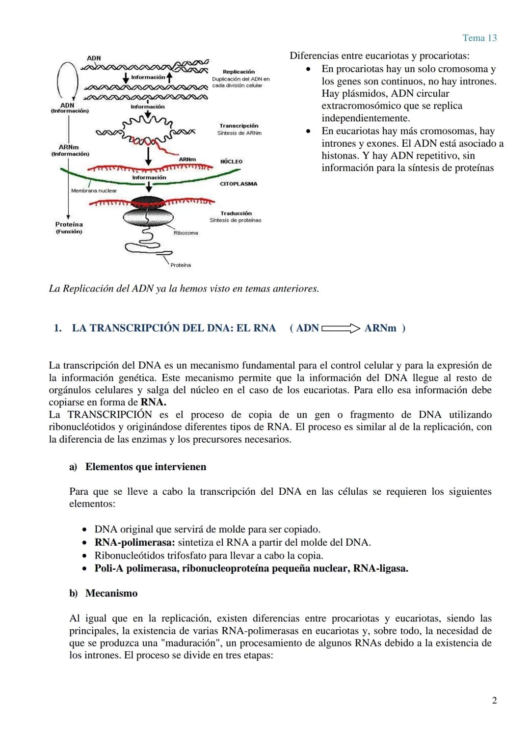 TEMA 13 GENÉTICA MOLECULAR. MUTACIONES Y EVOLUCIÓN
GENÉTICA MOLECULAR
La genética molecular es el campo de la genética que estudia la estruc