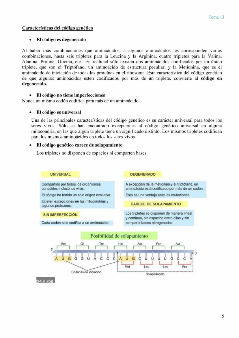 TEMA 13 GENÉTICA MOLECULAR. MUTACIONES Y EVOLUCIÓN
GENÉTICA MOLECULAR
La genética molecular es el campo de la genética que estudia la estruc