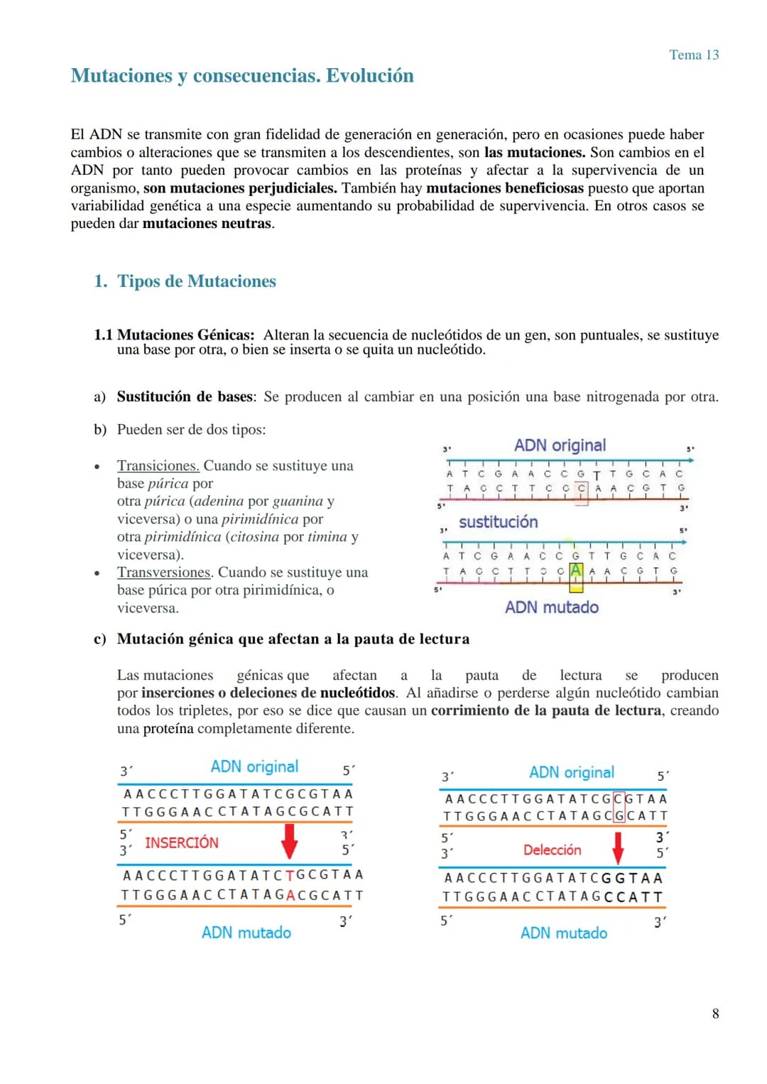 TEMA 13 GENÉTICA MOLECULAR. MUTACIONES Y EVOLUCIÓN
GENÉTICA MOLECULAR
La genética molecular es el campo de la genética que estudia la estruc