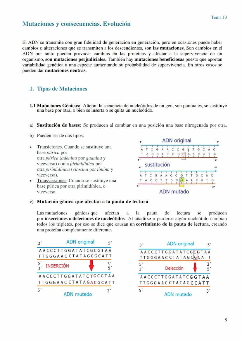 TEMA 13 GENÉTICA MOLECULAR. MUTACIONES Y EVOLUCIÓN
GENÉTICA MOLECULAR
La genética molecular es el campo de la genética que estudia la estruc