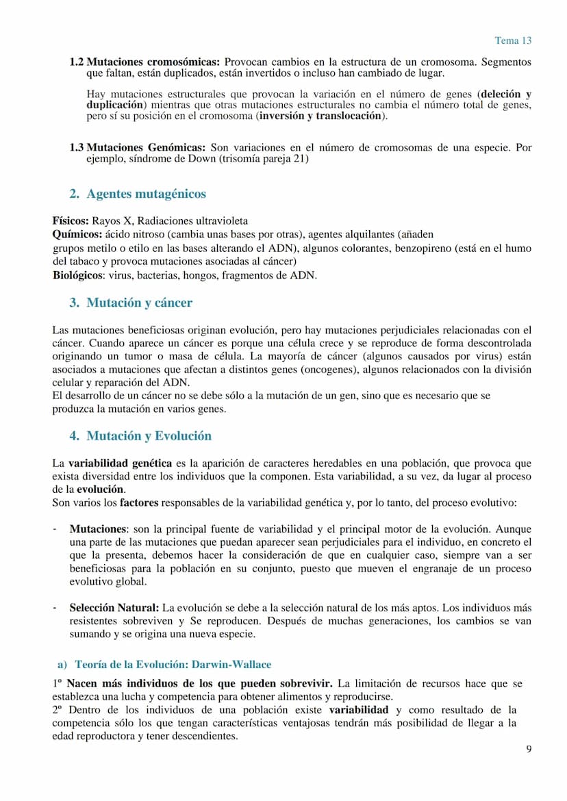 TEMA 13 GENÉTICA MOLECULAR. MUTACIONES Y EVOLUCIÓN
GENÉTICA MOLECULAR
La genética molecular es el campo de la genética que estudia la estruc