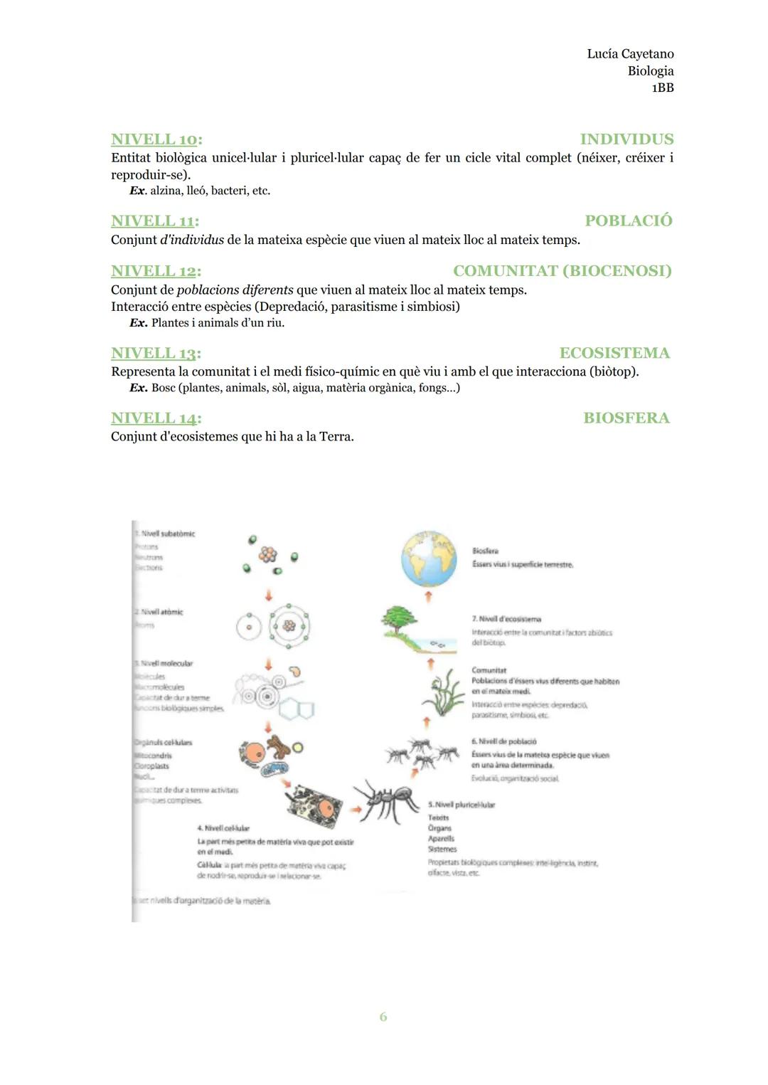 # LA COMPOSICIÓ DELS
## ÉSSERS VIUS

Biologia Lucía Cayetano
Biologia
1BB
INDEX

La vida....................................................
