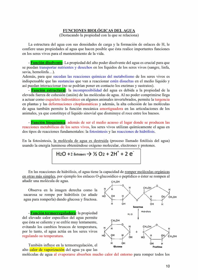 TEMA 1: BIOELEMENTOS Y BIOMOLÉCULAS. EL AGUA Y LAS SALES
MINERALES.
1.- Bioelementos: Concepto y Clasificación.
2.- Biomoléculas: Concepto y