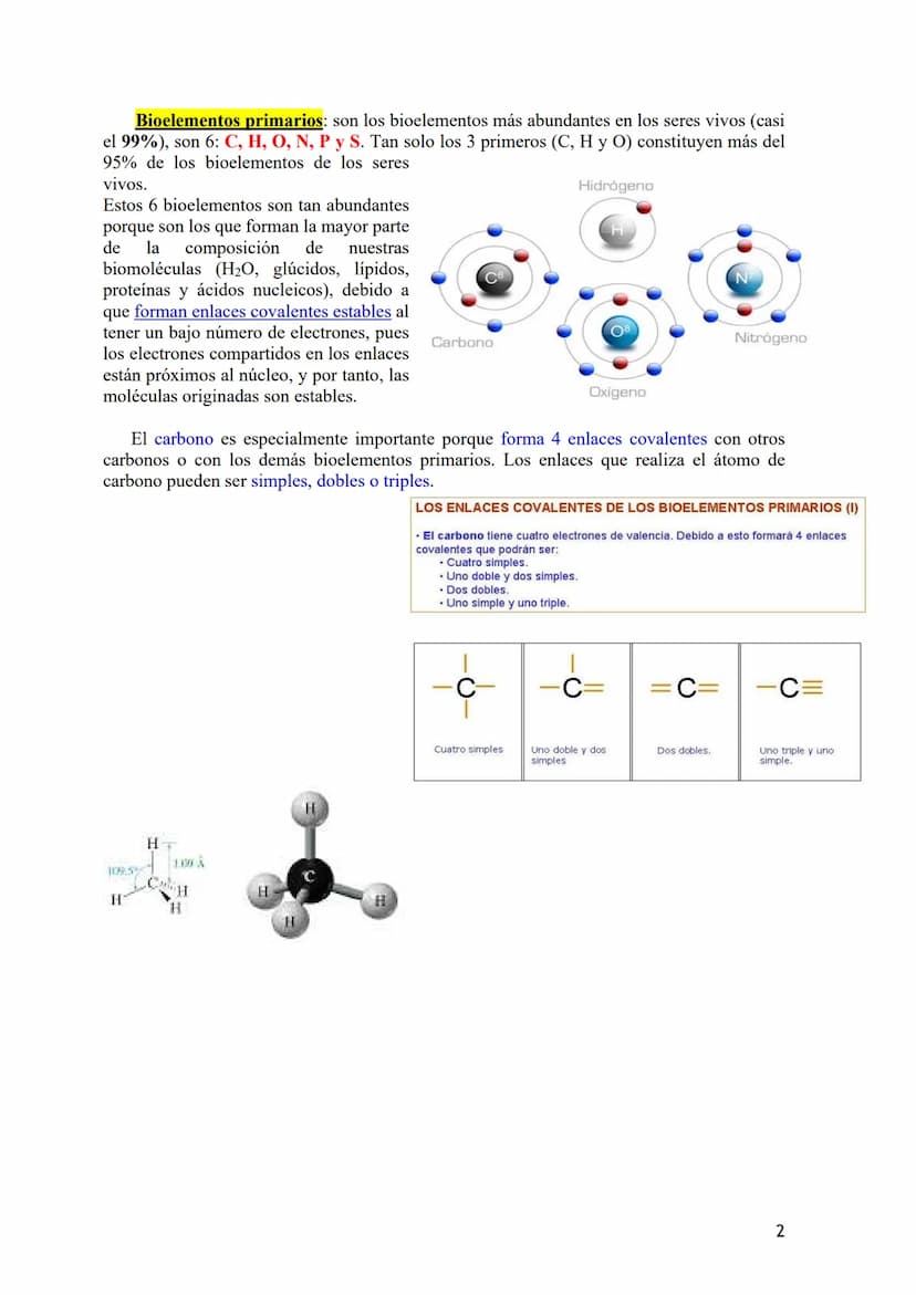 TEMA 1: BIOELEMENTOS Y BIOMOLÉCULAS. EL AGUA Y LAS SALES
MINERALES.
1.- Bioelementos: Concepto y Clasificación.
2.- Biomoléculas: Concepto y