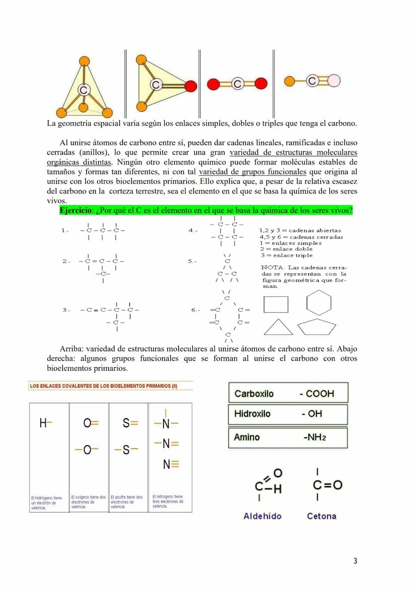 TEMA 1: BIOELEMENTOS Y BIOMOLÉCULAS. EL AGUA Y LAS SALES
MINERALES.
1.- Bioelementos: Concepto y Clasificación.
2.- Biomoléculas: Concepto y