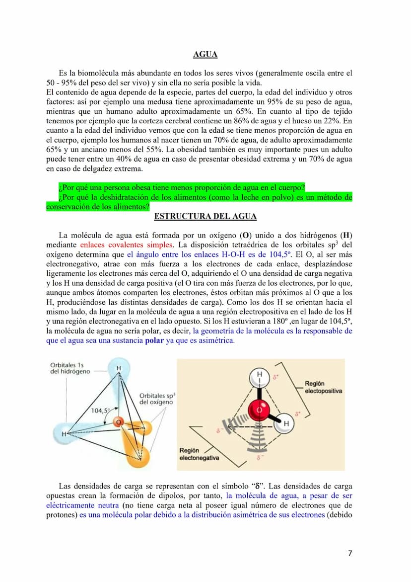 TEMA 1: BIOELEMENTOS Y BIOMOLÉCULAS. EL AGUA Y LAS SALES
MINERALES.
1.- Bioelementos: Concepto y Clasificación.
2.- Biomoléculas: Concepto y