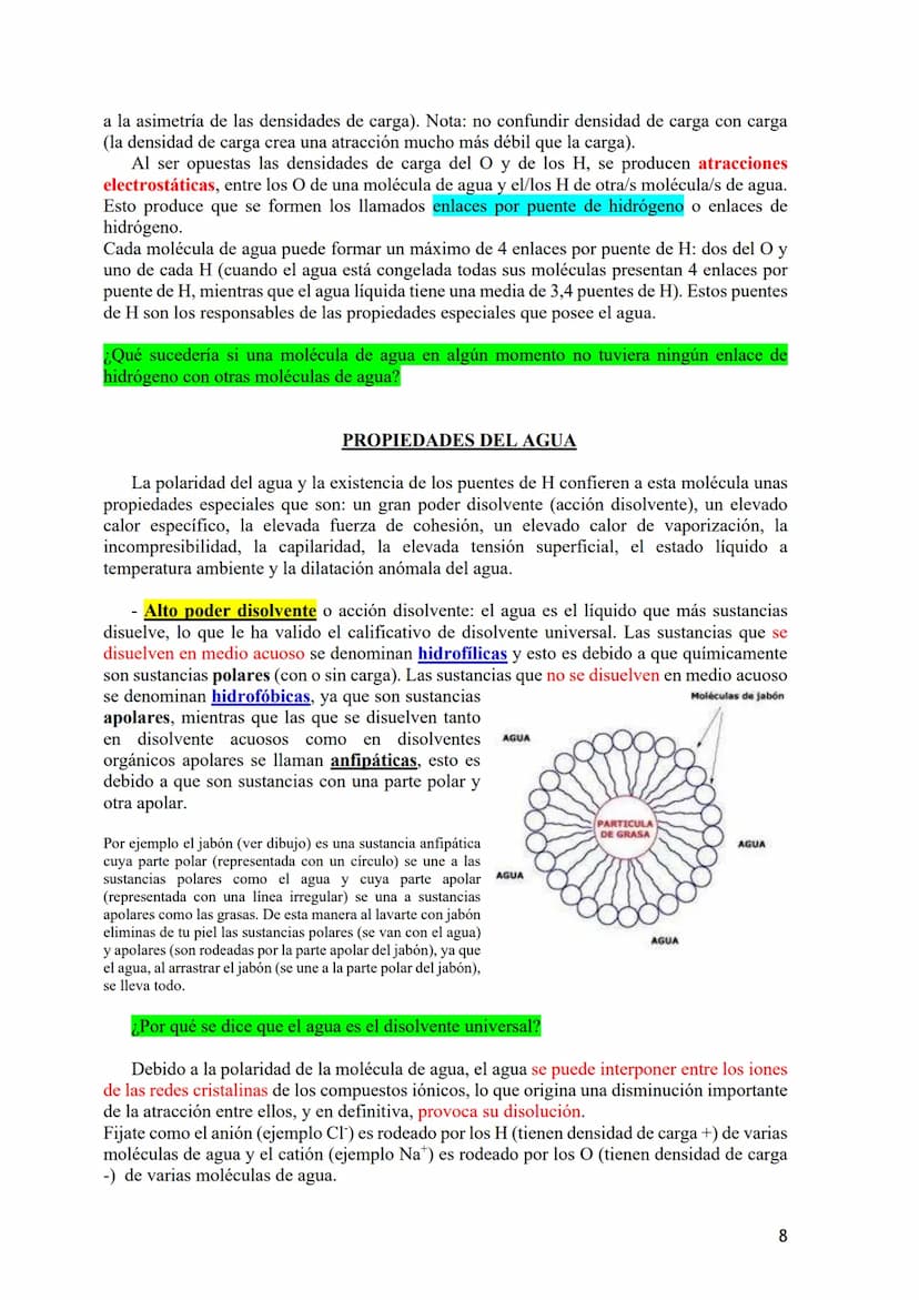 TEMA 1: BIOELEMENTOS Y BIOMOLÉCULAS. EL AGUA Y LAS SALES
MINERALES.
1.- Bioelementos: Concepto y Clasificación.
2.- Biomoléculas: Concepto y