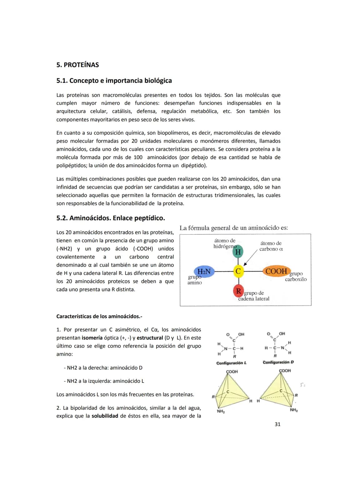 5. PROTEÍNAS
5.1. Concepto e importancia biológica
Las proteínas son macromoléculas presentes en todos los tejidos. Son las moléculas que
cu