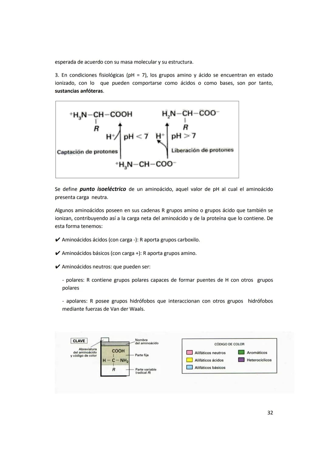 5. PROTEÍNAS
5.1. Concepto e importancia biológica
Las proteínas son macromoléculas presentes en todos los tejidos. Son las moléculas que
cu