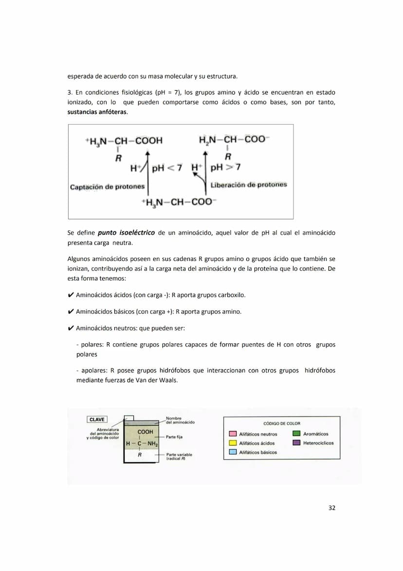 5. PROTEÍNAS
5.1. Concepto e importancia biológica
Las proteínas son macromoléculas presentes en todos los tejidos. Son las moléculas que
cu