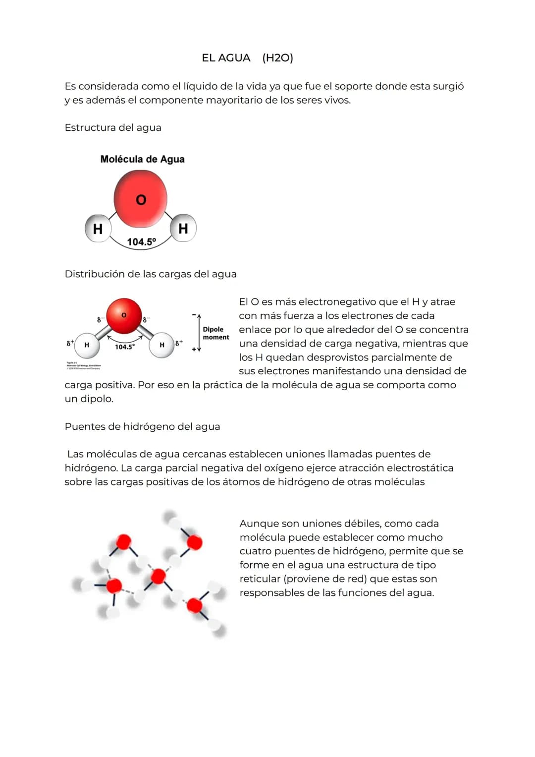 El agua (bioquímica )