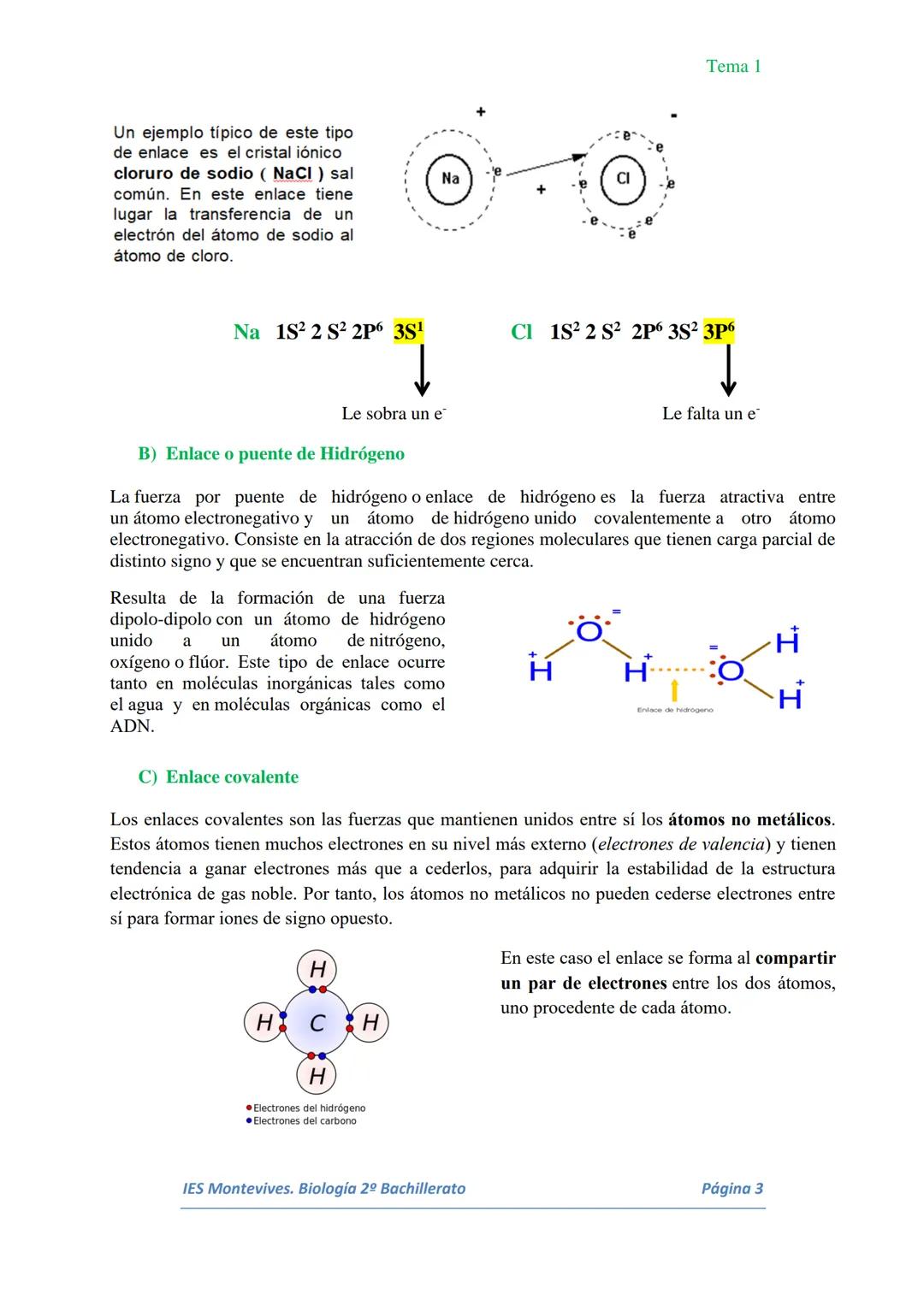 # Tema 1

# TEMA 1 Bioelementos. Agua y Sales Minerales

I. BIOELEMENTOS Y PRINCIPIOS INMEDIATOS

Todo el universo conocido está formado por