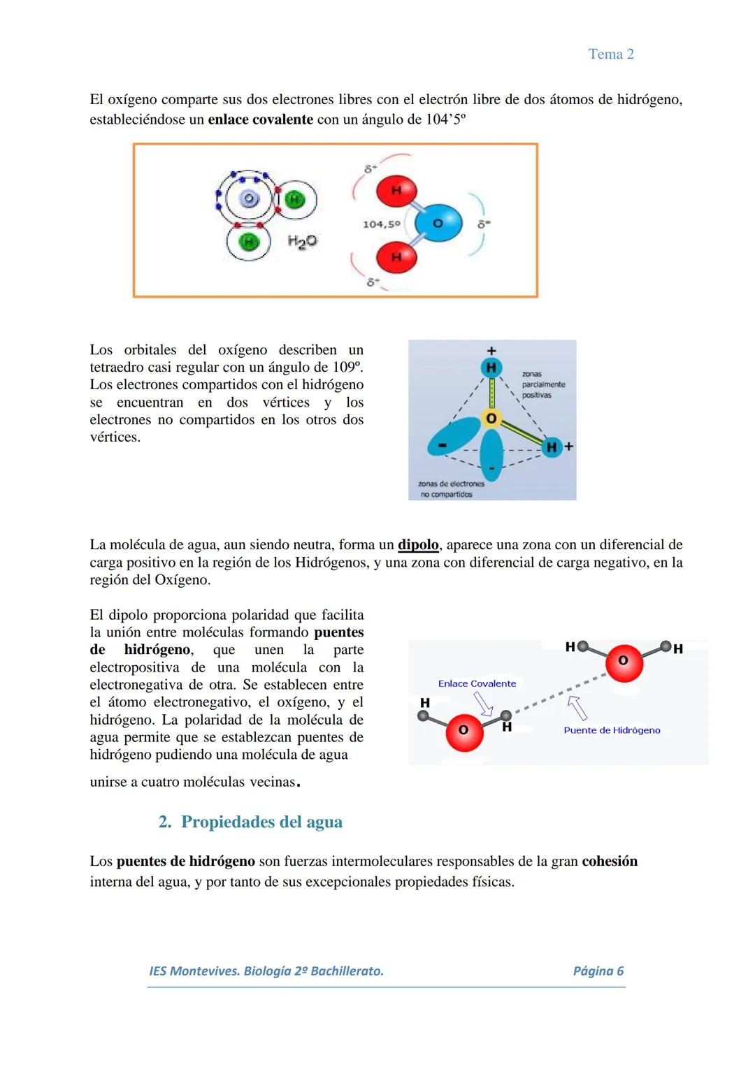 # Tema 1

# TEMA 1 Bioelementos. Agua y Sales Minerales

I. BIOELEMENTOS Y PRINCIPIOS INMEDIATOS

Todo el universo conocido está formado por