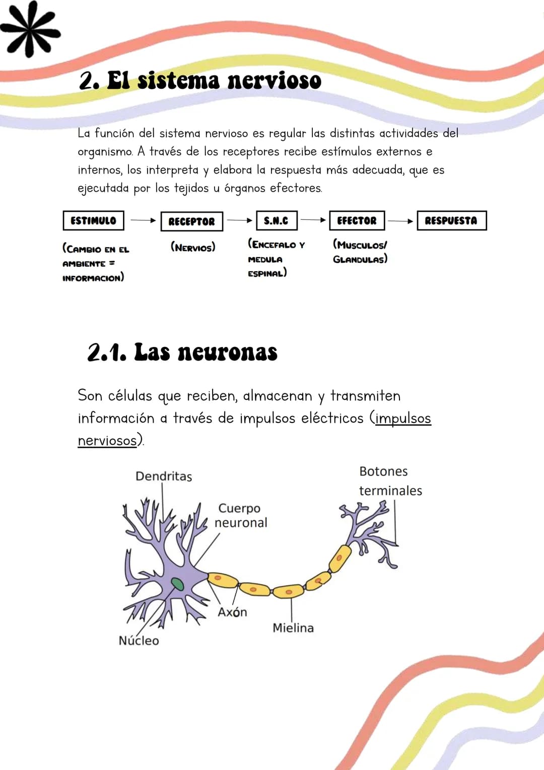 Biología
Lucia Esteban
[Si pinchas en los
anteriores títulos te
lleva a dicho apartado a
través de un marcador]
INDICE
1. Los sistemas de co