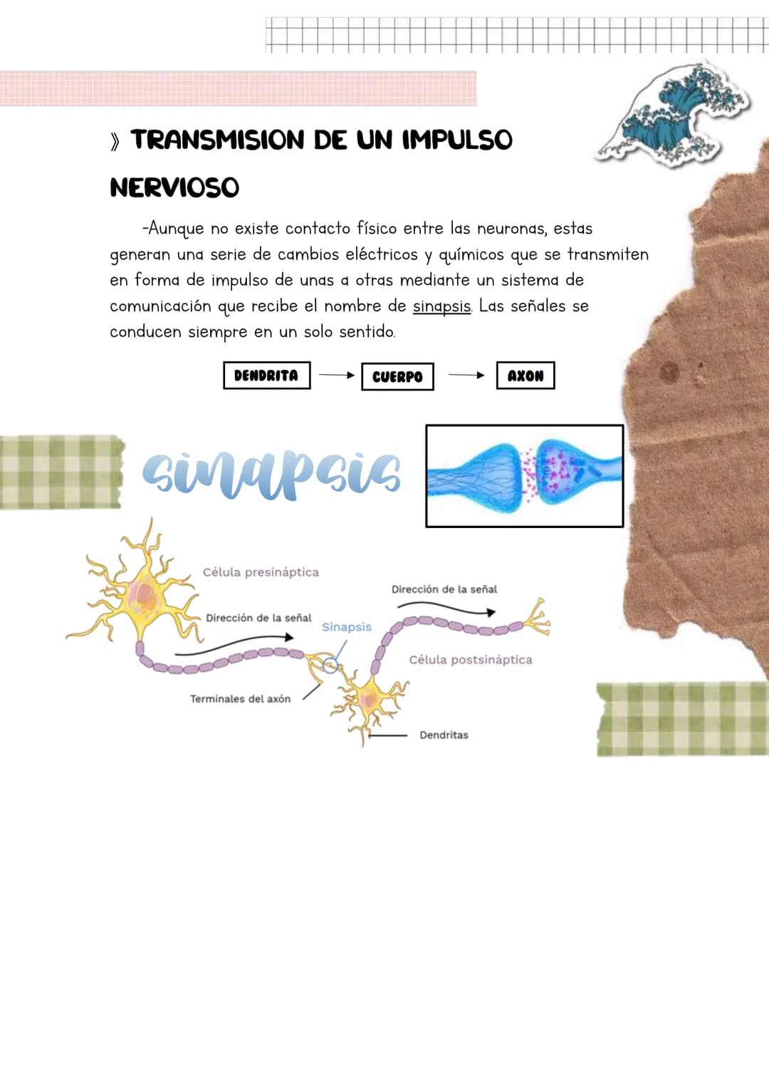 Biología
Lucia Esteban
[Si pinchas en los
anteriores títulos te
lleva a dicho apartado a
través de un marcador]
INDICE
1. Los sistemas de co